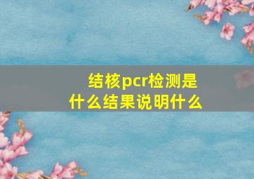 结核pcr检测是什么结果说明什么