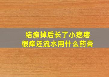 结痂掉后长了小疙瘩很痒还流水用什么药膏