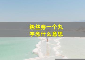 绕丝旁一个丸字念什么意思