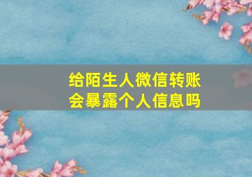 给陌生人微信转账会暴露个人信息吗