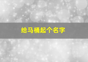 给马桶起个名字