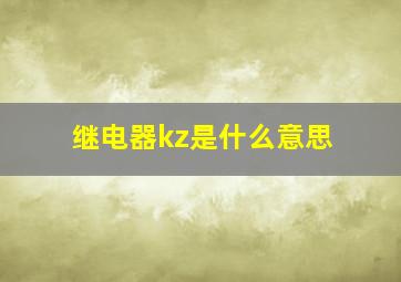 继电器kz是什么意思