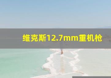 维克斯12.7mm重机枪