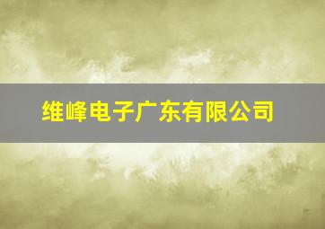 维峰电子广东有限公司