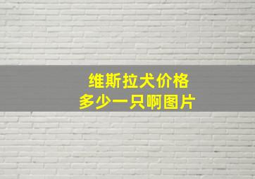 维斯拉犬价格多少一只啊图片