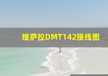 维萨拉DMT142接线图