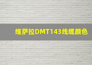 维萨拉DMT143线缆颜色