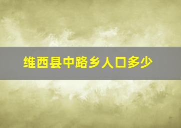 维西县中路乡人口多少