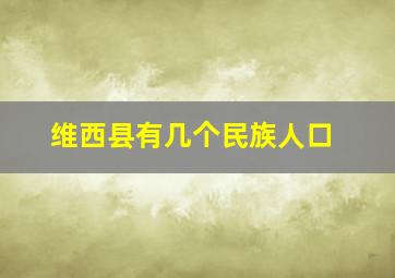 维西县有几个民族人口