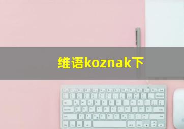 维语koznak下