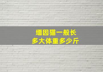 缅因猫一般长多大体重多少斤