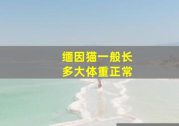 缅因猫一般长多大体重正常