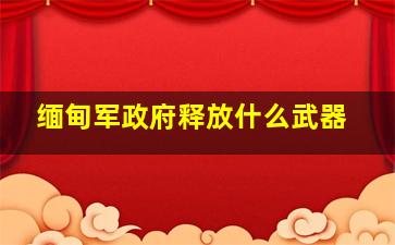 缅甸军政府释放什么武器