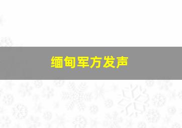 缅甸军方发声