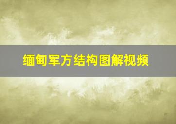 缅甸军方结构图解视频