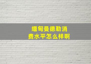 缅甸曼德勒消费水平怎么样啊