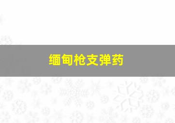 缅甸枪支弹药