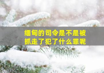 缅甸的司令是不是被抓走了犯了什么罪呢