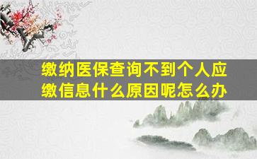 缴纳医保查询不到个人应缴信息什么原因呢怎么办