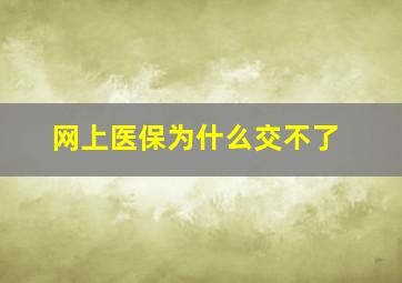 网上医保为什么交不了