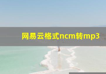 网易云格式ncm转mp3