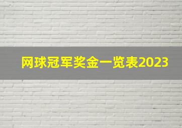 网球冠军奖金一览表2023