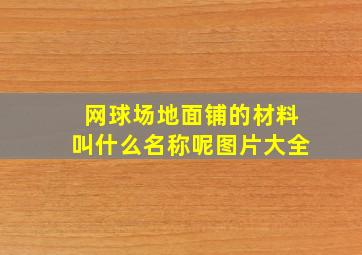 网球场地面铺的材料叫什么名称呢图片大全