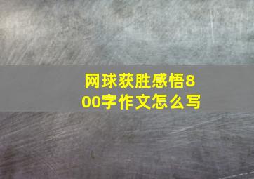 网球获胜感悟800字作文怎么写