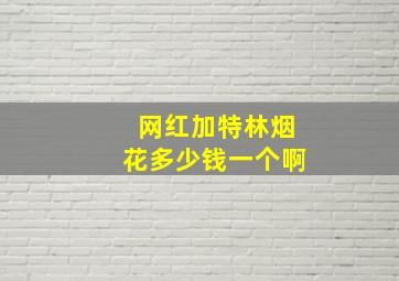 网红加特林烟花多少钱一个啊