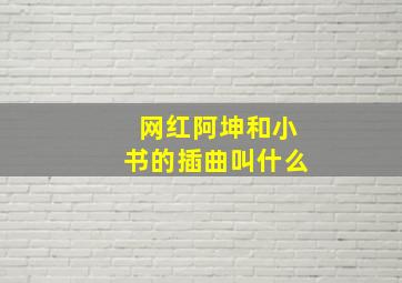 网红阿坤和小书的插曲叫什么