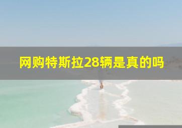 网购特斯拉28辆是真的吗