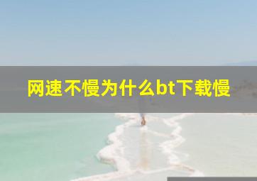 网速不慢为什么bt下载慢