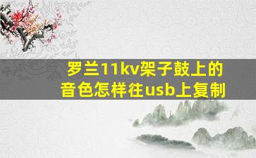 罗兰11kv架子鼓上的音色怎样往usb上复制