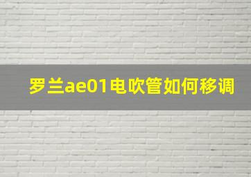 罗兰ae01电吹管如何移调