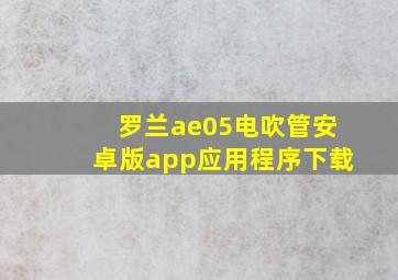 罗兰ae05电吹管安卓版app应用程序下载