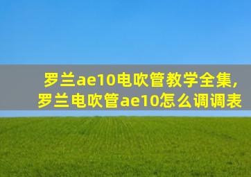 罗兰ae10电吹管教学全集,罗兰电吹管ae10怎么调调表