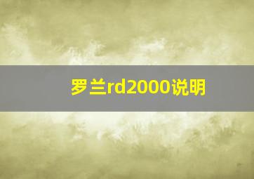 罗兰rd2000说明