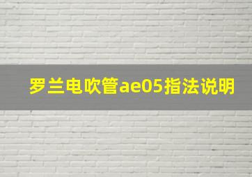 罗兰电吹管ae05指法说明