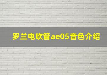 罗兰电吹管ae05音色介绍