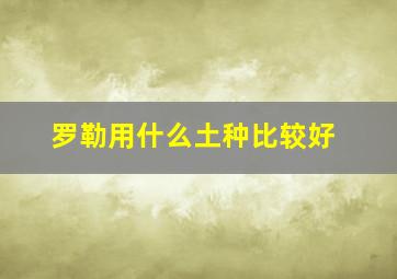 罗勒用什么土种比较好