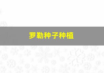 罗勒种子种植