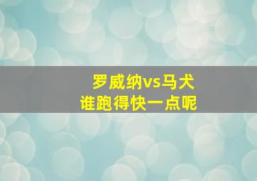 罗威纳vs马犬谁跑得快一点呢