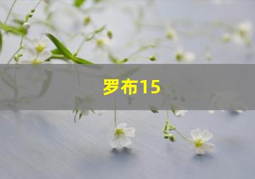 罗布15