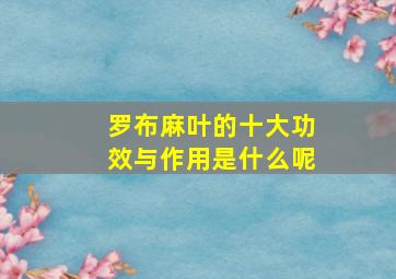 罗布麻叶的十大功效与作用是什么呢