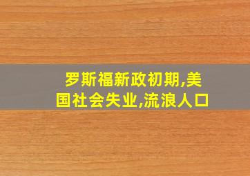 罗斯福新政初期,美国社会失业,流浪人口