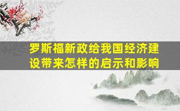 罗斯福新政给我国经济建设带来怎样的启示和影响