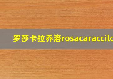 罗莎卡拉乔洛rosacaraccilo