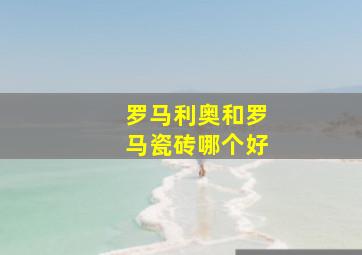 罗马利奥和罗马瓷砖哪个好