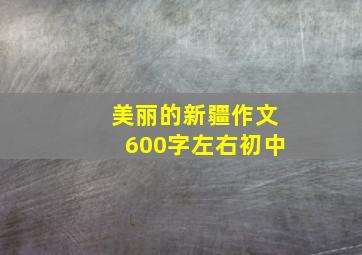 美丽的新疆作文600字左右初中