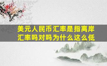 美元人民币汇率是指离岸汇率吗对吗为什么这么低